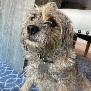 Meet your Posher, Kristen